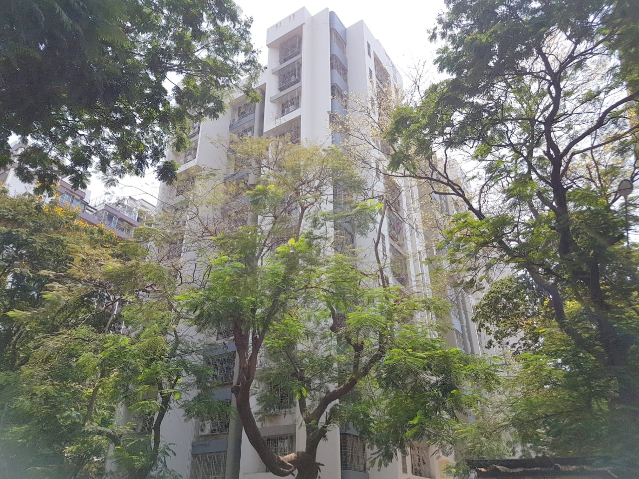 Main - Gulmohar Apartment, Andheri West